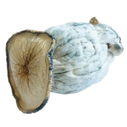 Buy Penis Envy Supreme Dried Magic Mushrooms